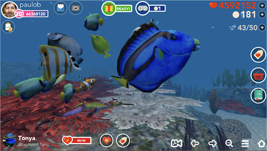 free download 3d marine aquarium virtual fishtank